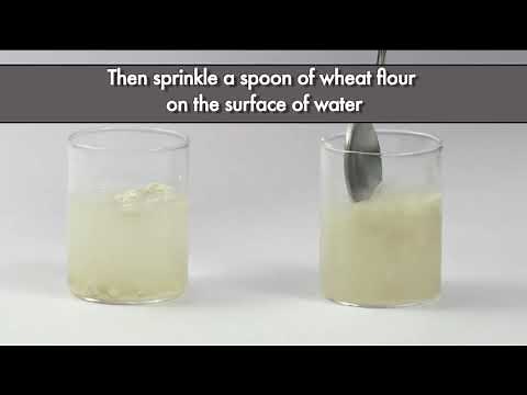 Testing Wheat Flour Adulteration with Excess Bran | FSSAI