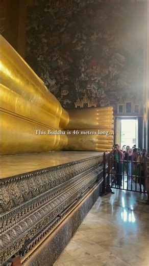 The tallest reclining Buddha in Thailand 😳🇹🇭 #watpho #temple
