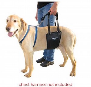 Med/Lg Male GingerLead Support Sling