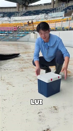 Ce dauphin est un vrai glouton 🤯❤️