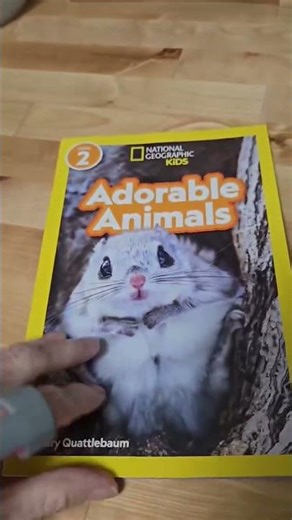Recommended by a First Grade Teacher