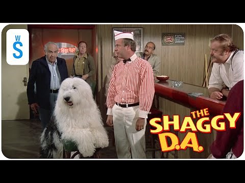 The Shaggy D.A. (1976) | Scene: Turn into the dog