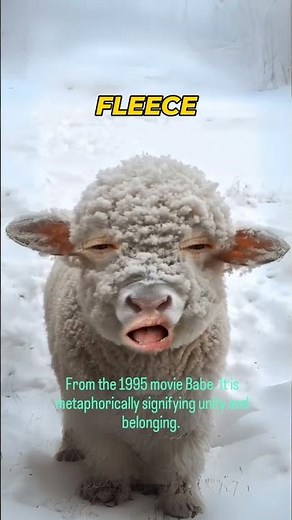 1995 movie Babe Chant