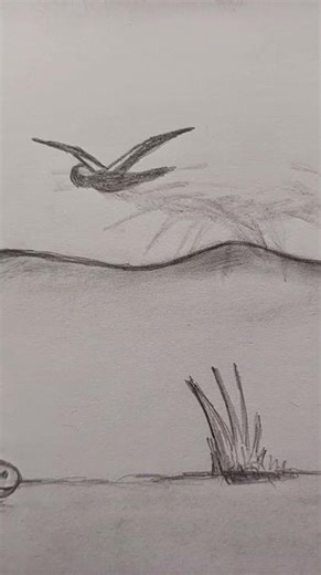 Pencil Animation: Worm vs Bird – Draw & Erase Stop Motion Magic