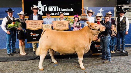 Whopping $1.5M Grand Champion steer breaks record at Houston Livestock Show and Rodeo Junior Auction