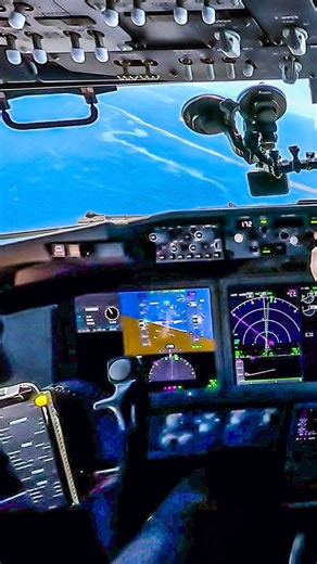 👨🏻‍✈️Arajet🇩🇴737MAX | Just Planes