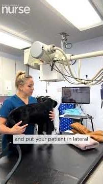 Skills Check: Positioning a Patient in Right Lateral Recumbency