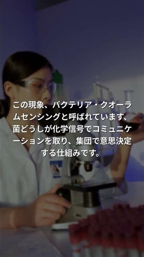 菌が『集団思考』する｜1+1=3になる謎