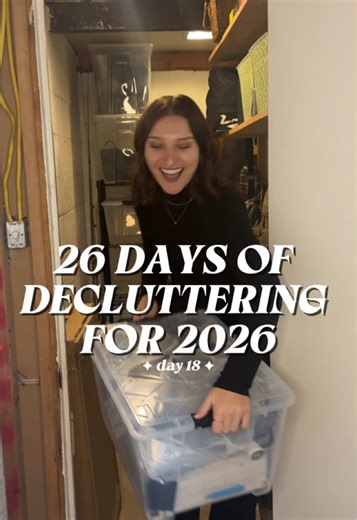 Decluttering Day 18: Organizing the Basement Storage Closet