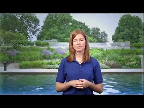 What is Nonpoint Source Pollution?