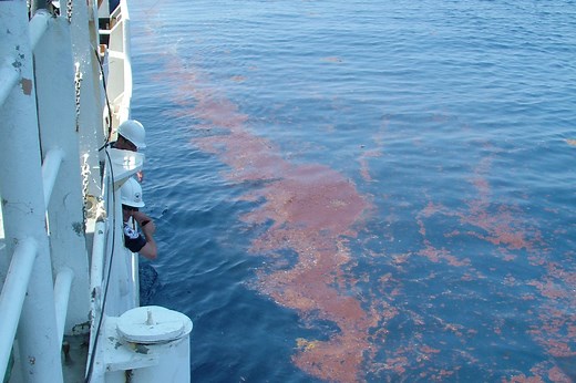 NOAA’s Work After the Deepwater Horizon Oil Spill: A Timeline