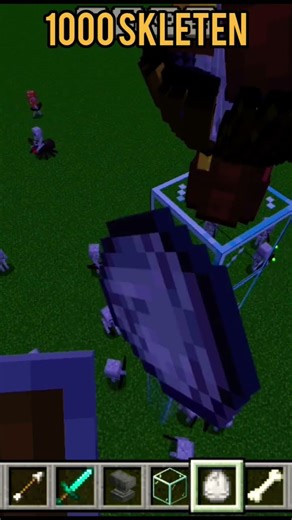 Minecraft 1000 Skeleton vs 1 envil😊 #minecraft #birdtrend #equipou