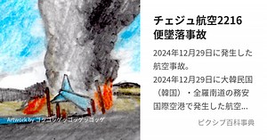 チェジュ航空2216便墜落事故