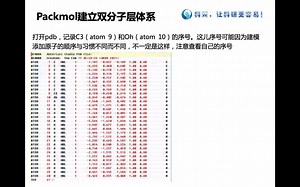 Materials Studio视频教程---Packmol建立双分子层体系