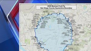Mexican fruit fly quarantine