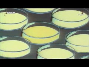 مسلسل اسألوا لبيبة الحلقة الثالثة عشرة.