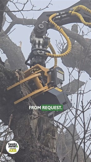 3.5K views · 12 reactions | "We believe Magni is leading the market!" Find all about Magni and its range of telehanders by heading to our YouTube channel https://www.youtube.com/watch?v=YJf-WWCFJF8&t=1s #magni #forestmachine #forestry #timber #logger | Forestry Journal | Facebook