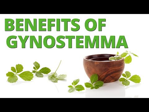 Benefits of Gynostemma - The Most Underrated Adaptogen