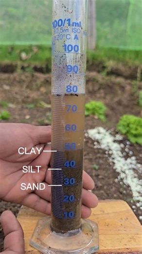 Learn how to determine your soil’s texture at home using just a soil sample, water, and a little detergent. This simple method separates sand, silt, and clay, helping you understand your soil’s composition and make better decisions for planting and fertilization. #SoilScience #GardeningTips #SoilTexture #HomeGardening #PlantCare | Let’s Gardening | Facebook