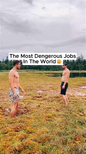 The World's Most Dangerous Jobs Revealed