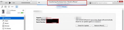 Problem Fixed: iTunes Stuck on Preparing to Copy iTems