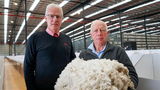 Wool: ‘It’s the sharpest lift we’ve seen in a long, long time’
