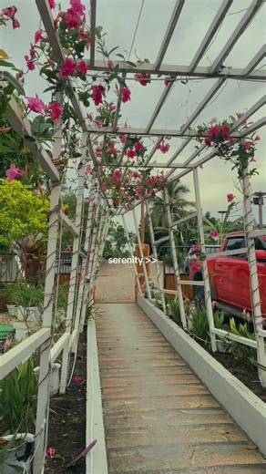 The Happy Cup on TikTok