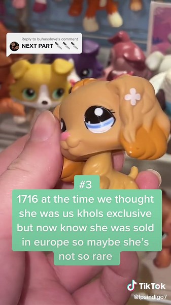 Top 3 Rarest LPS Cocker Spaniels Revealed!