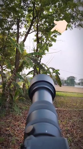 Ullu ka Pattha 😁 #arnab_roy_wildlife #wildlife #trendingreels #birdphotography #owllovers | Arnab Roy