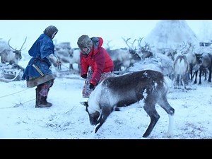 BBC Living with Nomads 2/3 Siberia