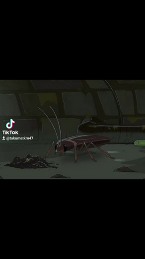 takuma (@takumatkm47)’s videos with son original - takuma