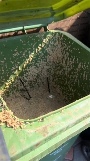 Mama und die Biotonne #lustig #mutter #mama #tochter #lachen | Kathijiunes