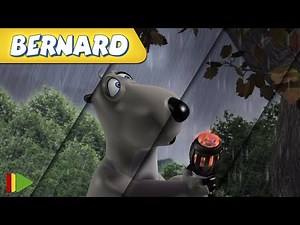 🐻‍❄️ BERNARD | Collection 60 | Full Episodes | VIDEOS and CARTOONS FOR KIDS