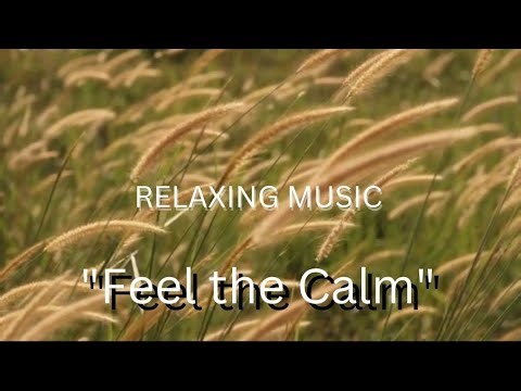 "Grass Swaying in the Wind | Peaceful Nature Sounds for Relaxation"