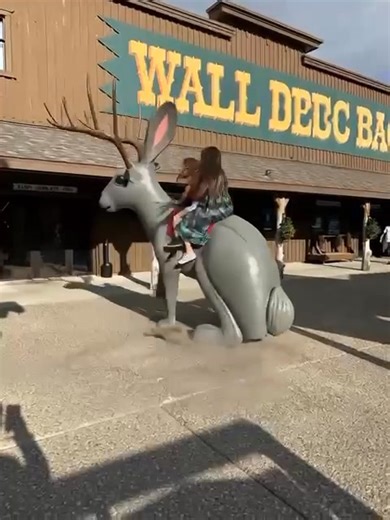 He haw | Brenda Stough