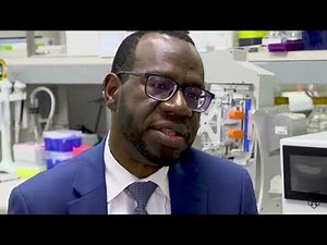 New Mayo Clinic stem cell research to take flight into space