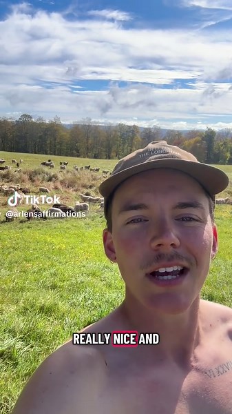 Farming Adventures: Loving Sheep on My Farm