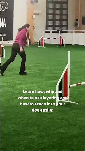 📣 What is layering in dog agility?