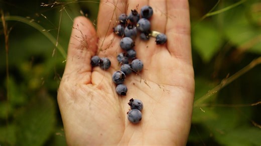 Top 10 Foods Proven to Lower Blood Pressure