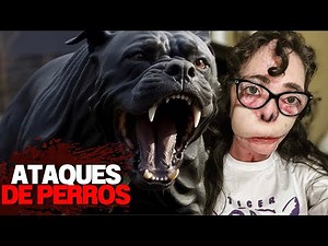 The Most Vicious Dog Attacks Ever Seen
