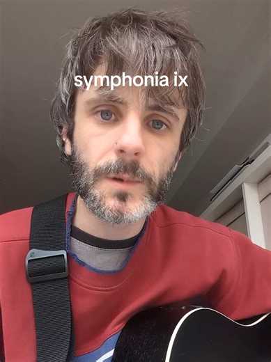 Current Joys - Symphonia IX Acoustic Cover