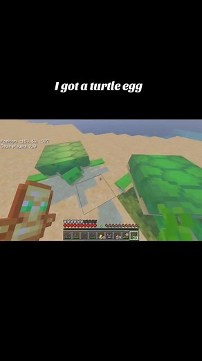Turtle Egg Breeding Tips in Minecraft Live