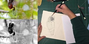 Foundation Workshop No. 4: Building Form