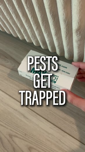 Our Max-Catch Glue Trap is your all-in-one pest control solution. ✅ Set It in Seconds – No tools, no mess! 🧱 Use It Anywhere – Flat, folded, or along walls. 🐭🕷️ Catches It All – Mice, rats, roaches, spiders, ants & beyond! 👉 Shop on Amazon ⬇️ | Catchmaster