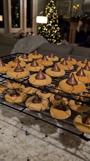Michelle - Crafty Morning ❤ on Instagram: "My favorite! Peanut butter blossom cookies! Recipe link in bio #peanutbutterblossoms #christmascookies #christmascookie"