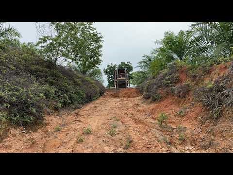 Reviving Old Palm Oil Plantation Roads with D6G Bulldozer Technology