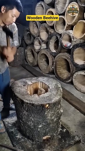 Wooden Beehive Building: Better Homes for Healthy Bees 🍯🪵