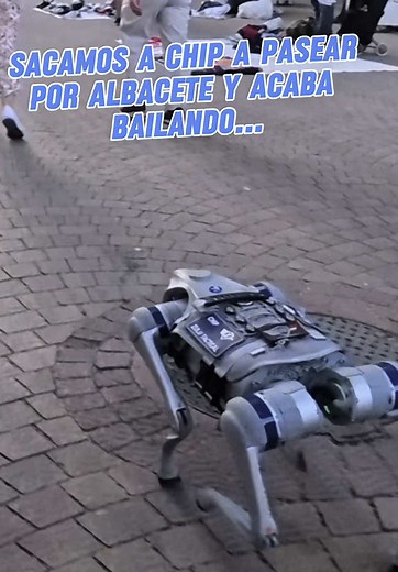 Chip y su espectacular baile en la Feria Medieval de Albacete