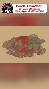 122K views · 2K reactions |  Blood in Dog's Stool: Main Reasons &...