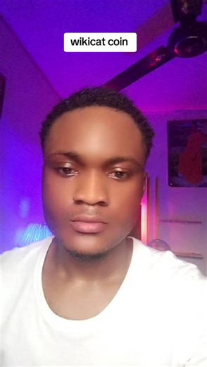Exploring Wikicat Coin in Web3